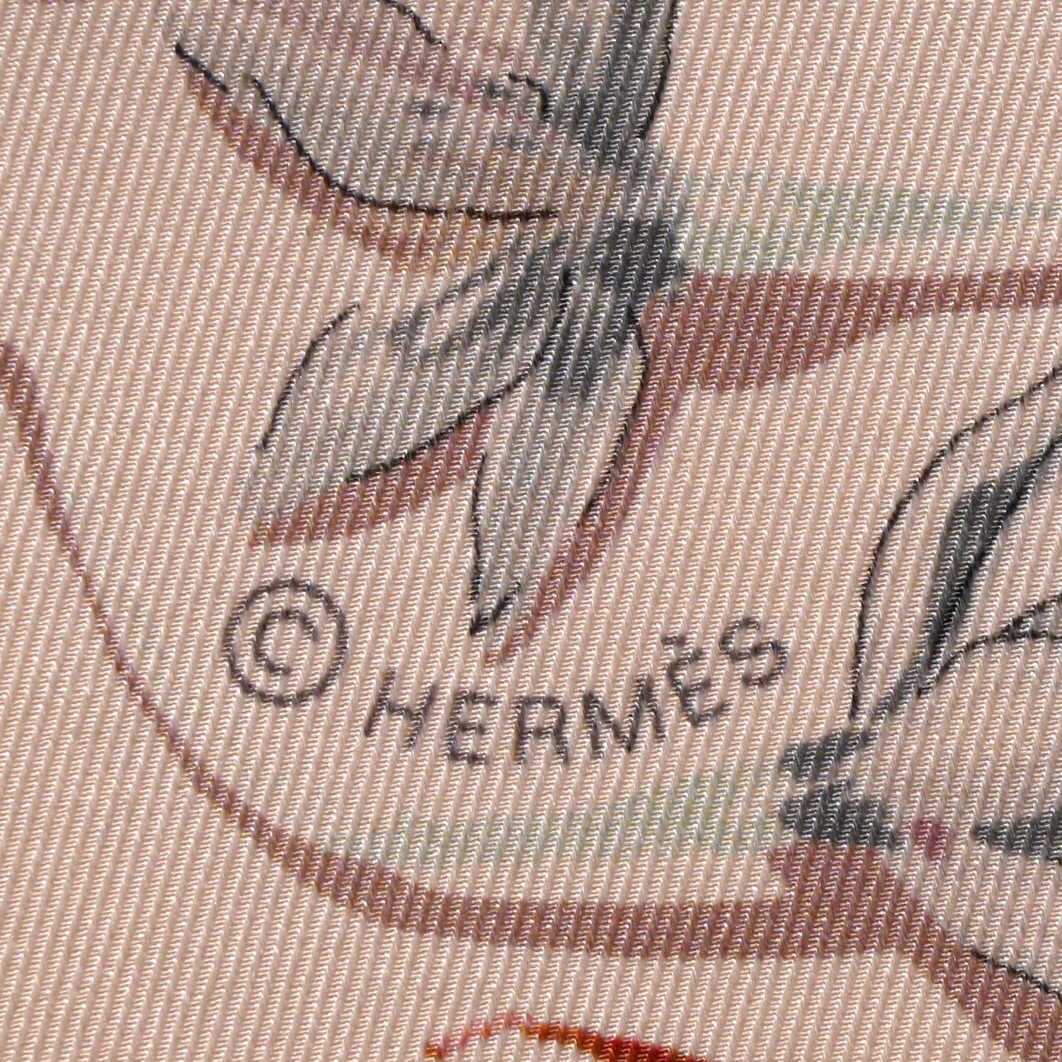 Hermes Silk Dragonflies Scarf 70 4 of 6