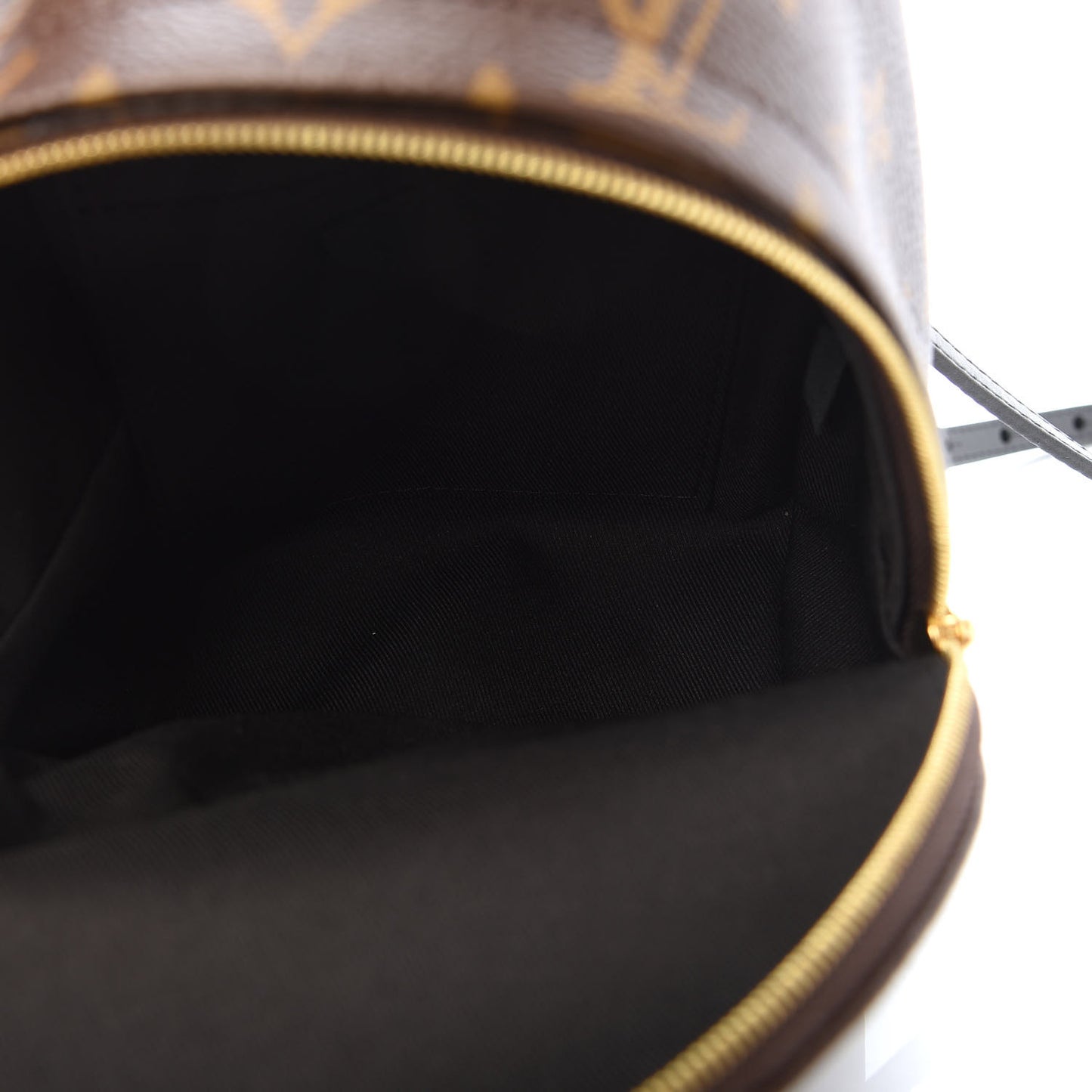 Monogram Palm Springs Backpack Mini