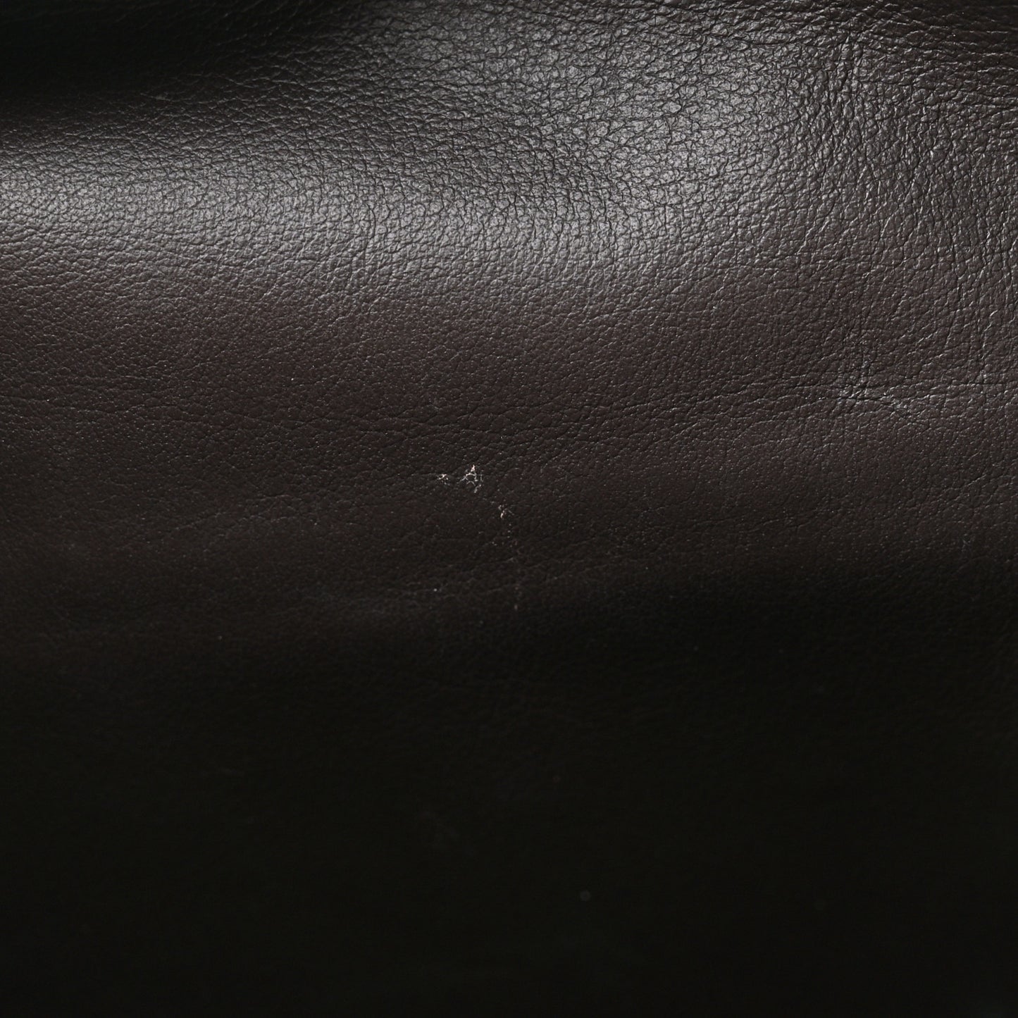 Calfskin Fiona Hobo Brown