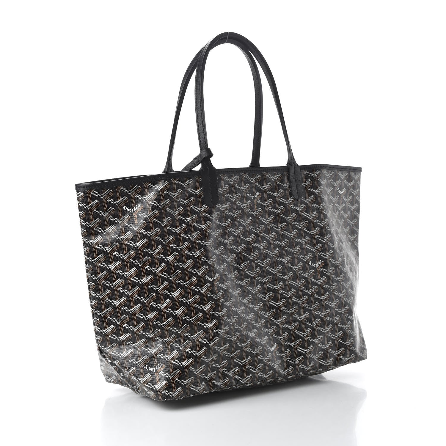 Goyard Goyardine Saint Louis PM Black 3 of 8