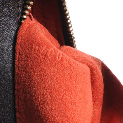 Louis Vuitton Damier Sauvage Tigre 7 of 7