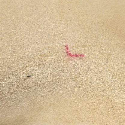 Celine Calfskin All Soft Shoulder Bag Almond 6 of 11