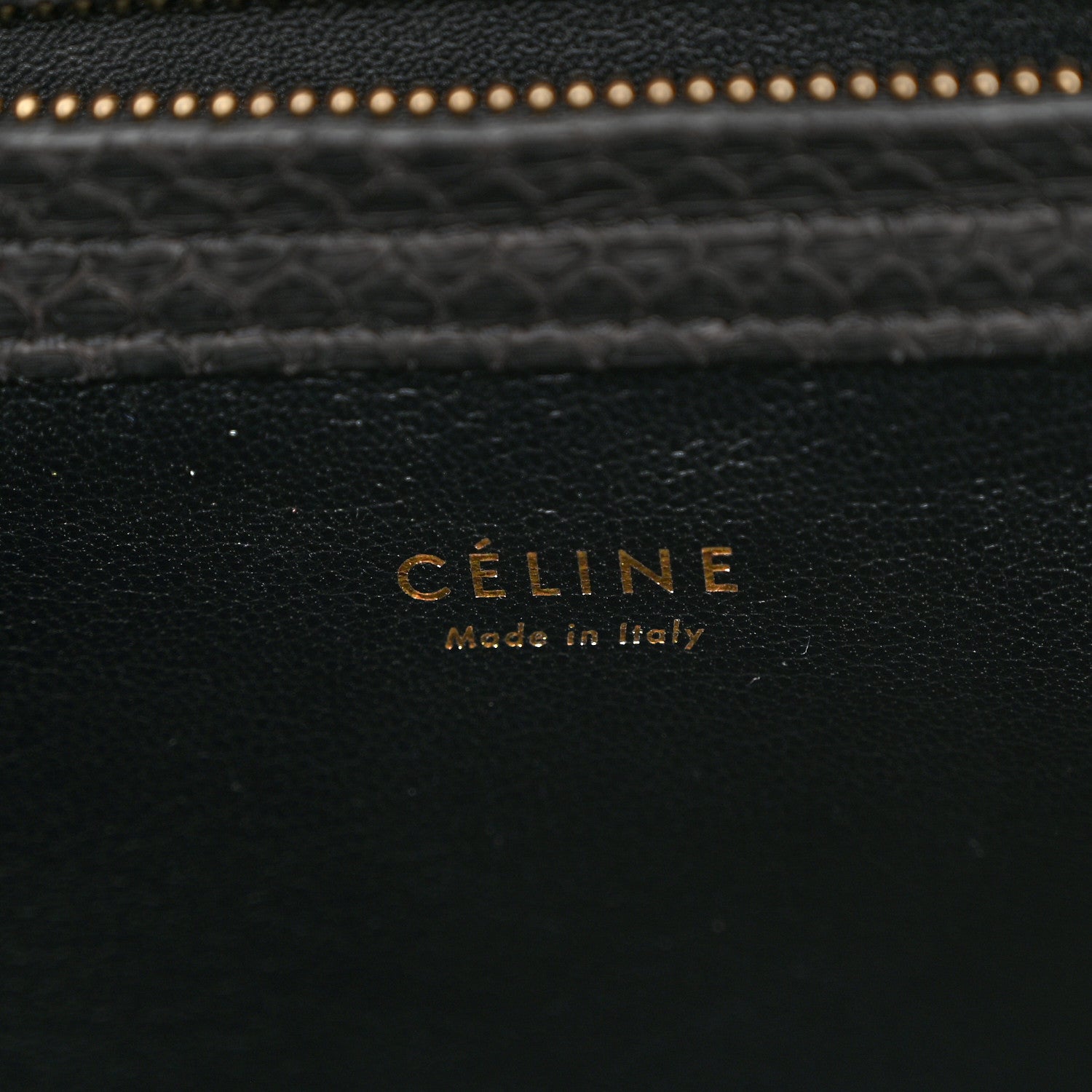 Celine Snakeskin Medium Phantom Luggage Black 6 of 13