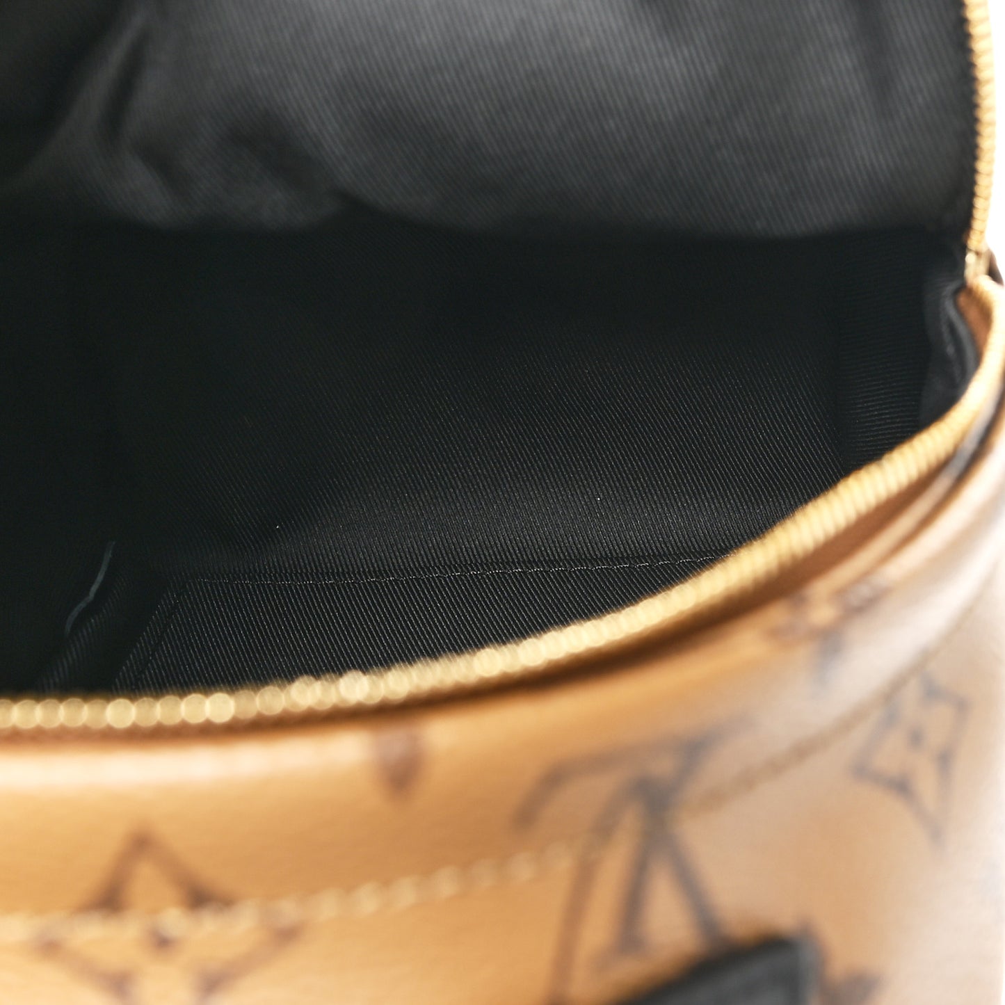 Reverse Monogram Palm Springs Backpack Mini