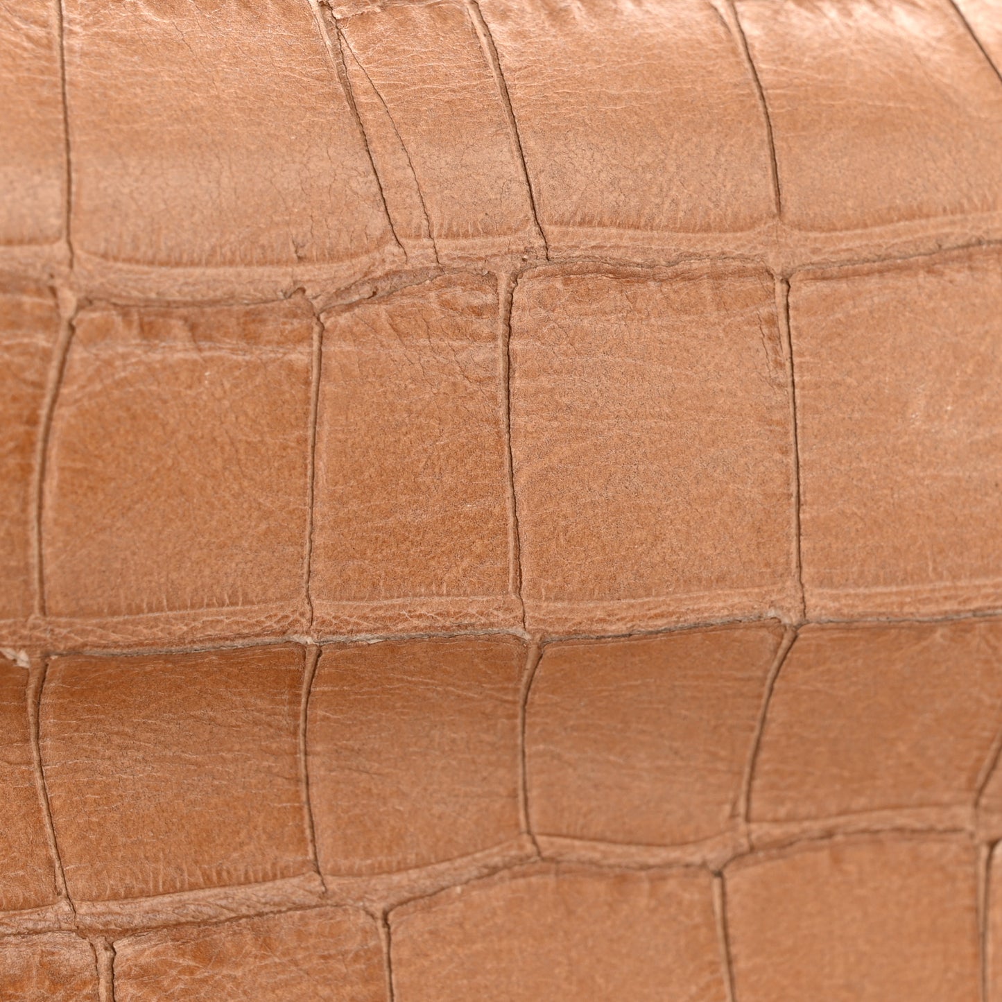 Nappa Crocodile Embossed Medium Lily Flap Camel