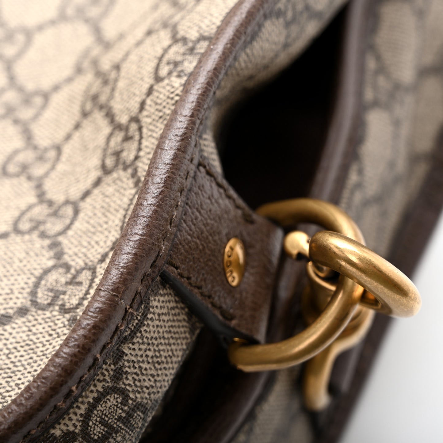 GG Supreme Monogram Textured Dollar Calfskin Web Ophidia Savoy Garment Bag Beige Ebony New Acero