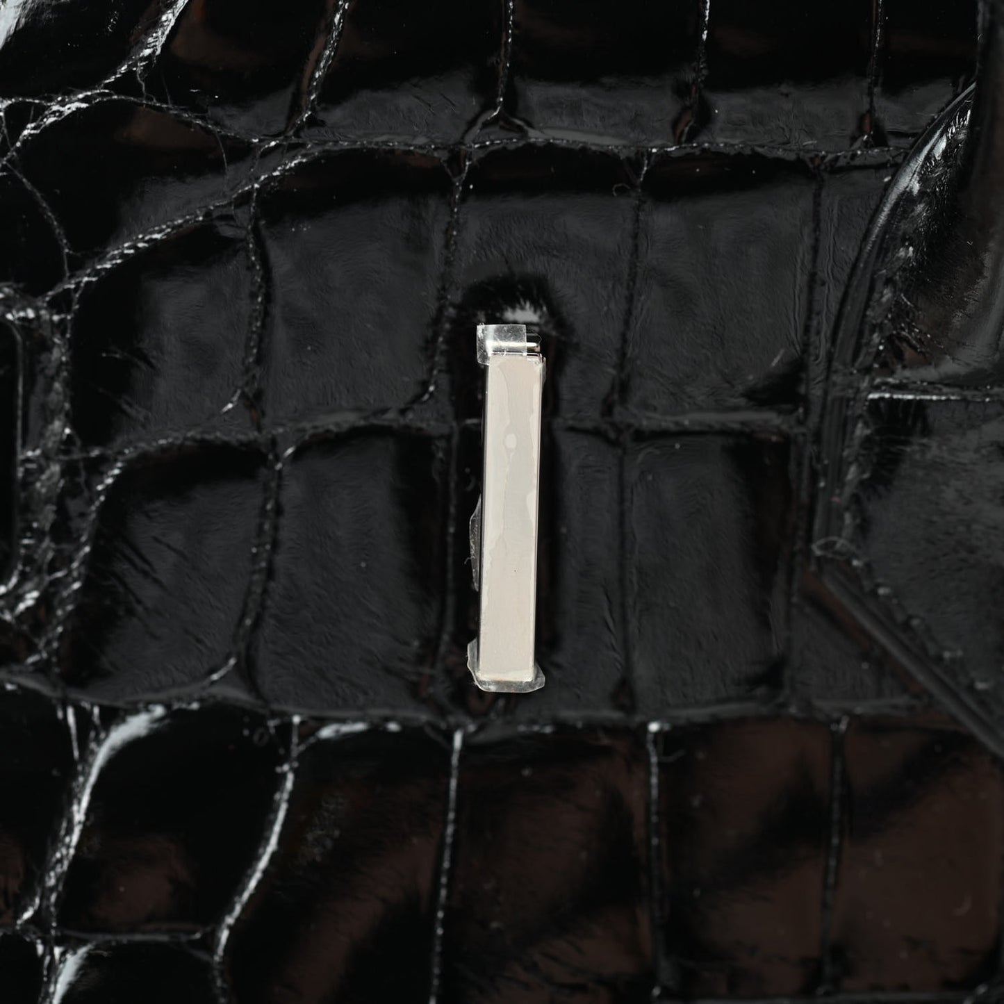 Shiny Niloticus Crocodile Birkin 30 Black