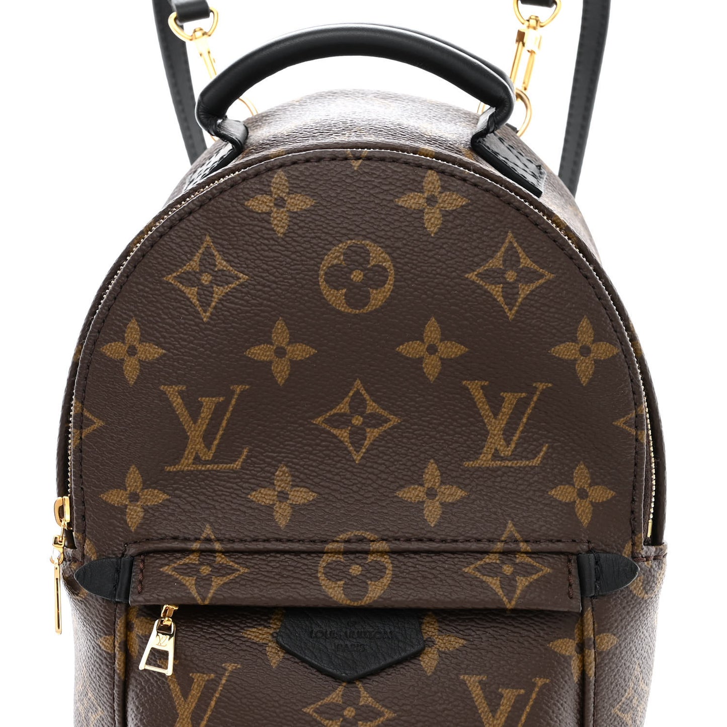 Monogram Palm Springs Backpack Mini