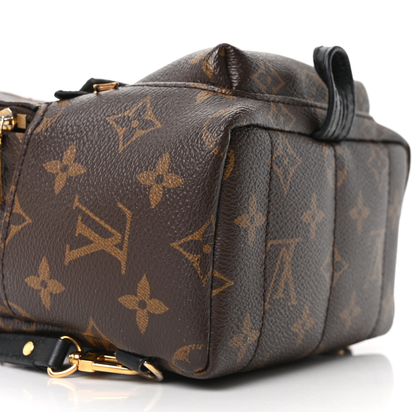 Monogram Palm Springs Backpack Mini