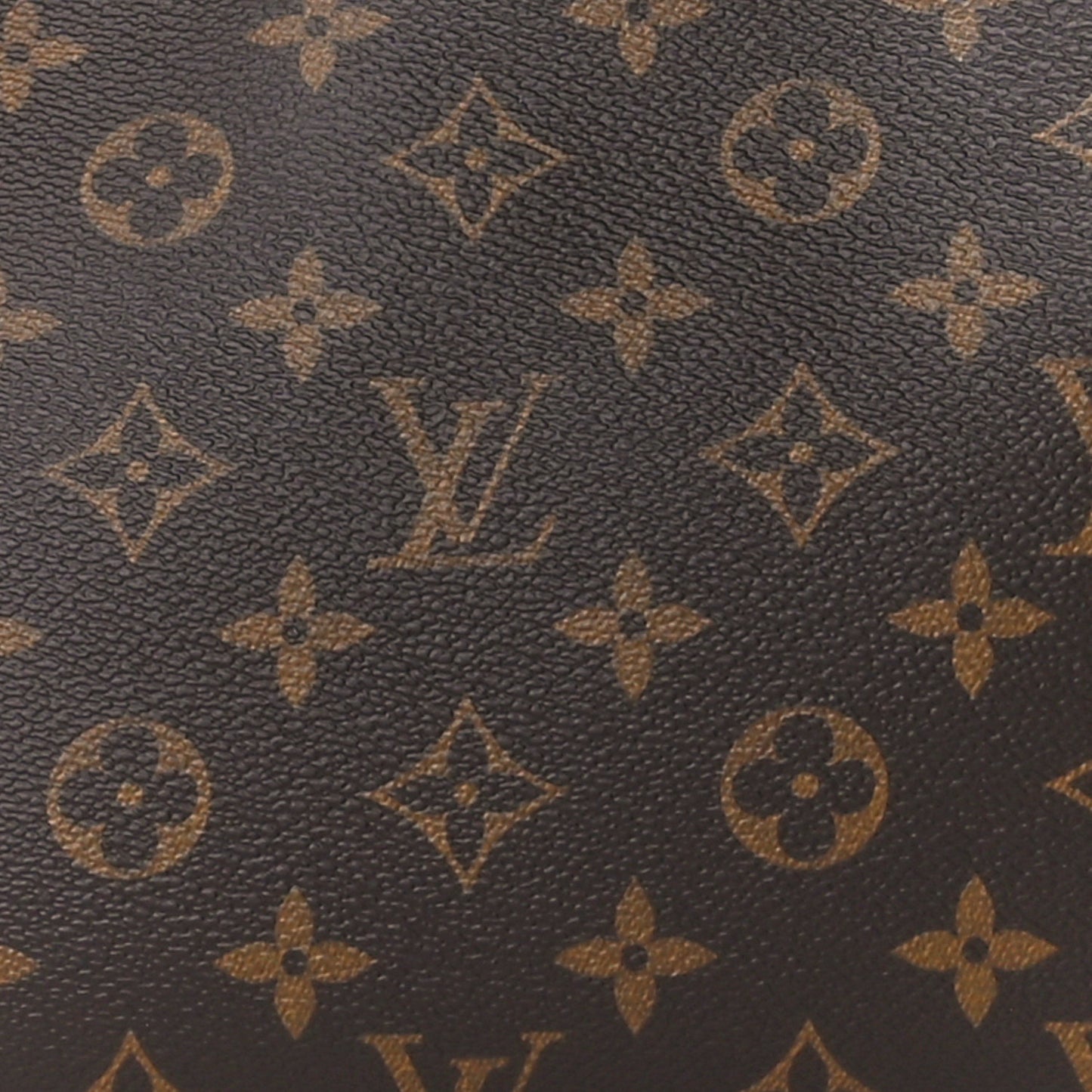 Monogram CarryAll PM