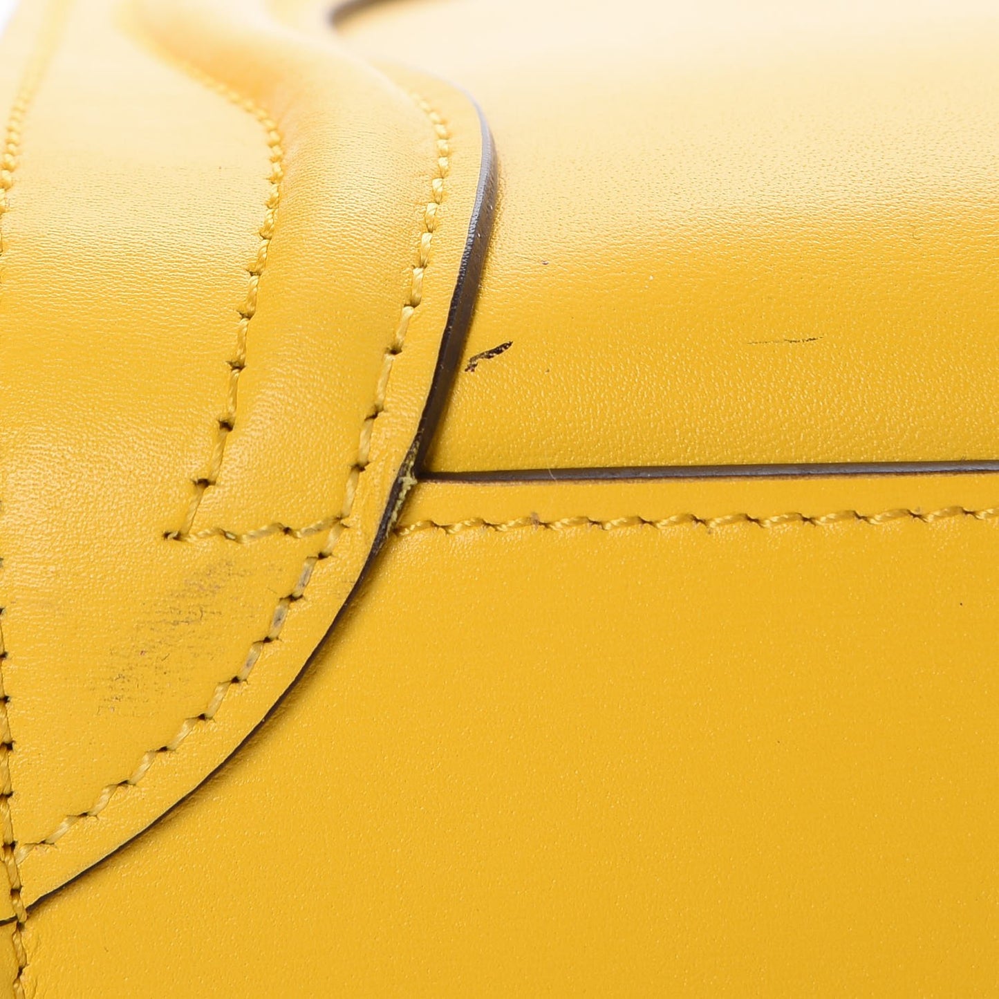 Palmelato Calfskin Nano Luggage Sunflower