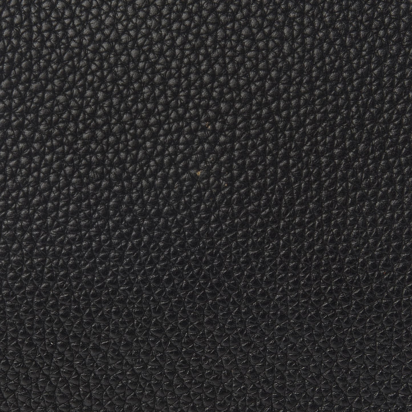 Taurillon Clemence Kelly Retourne 32 Black