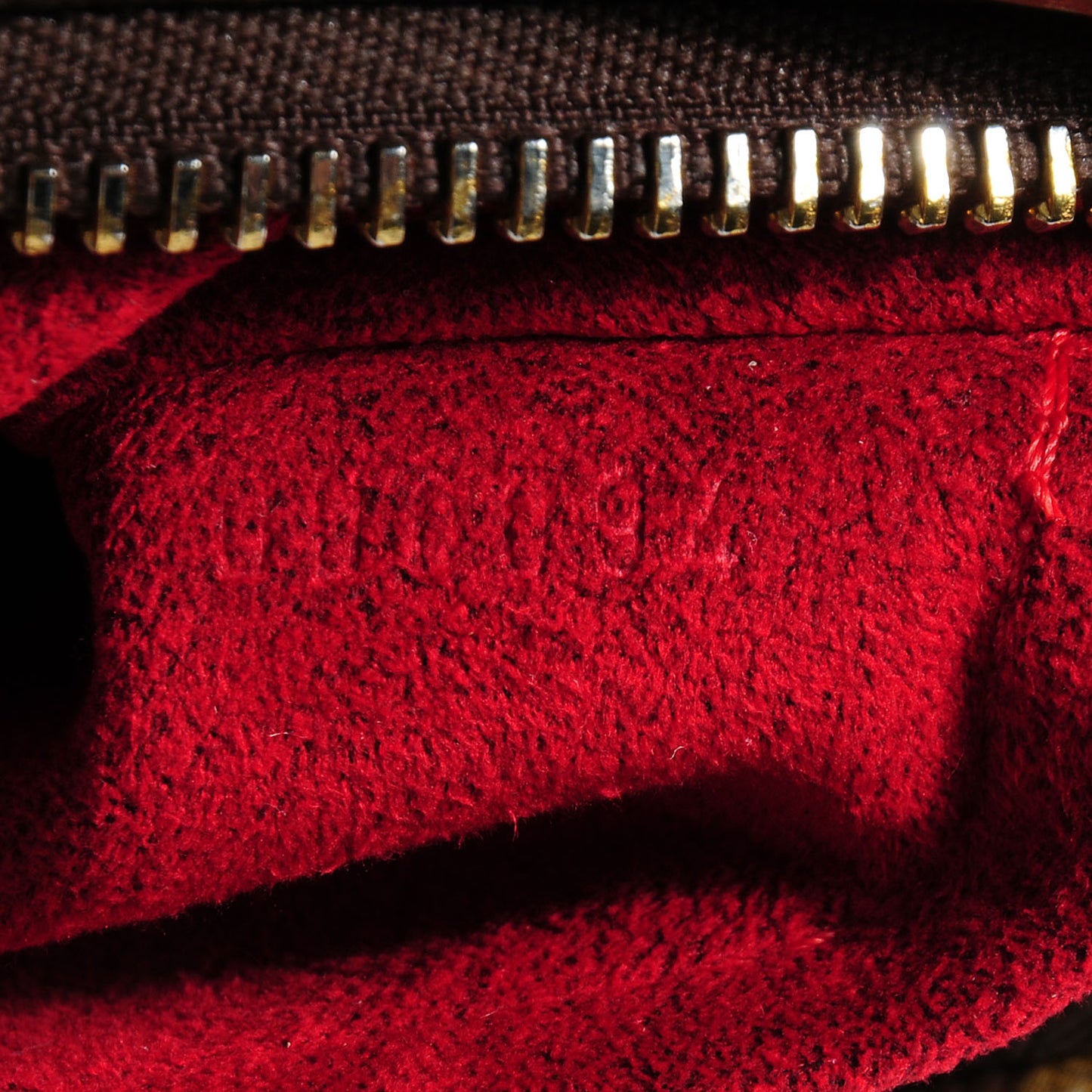 Monogram Viva-Cite MM