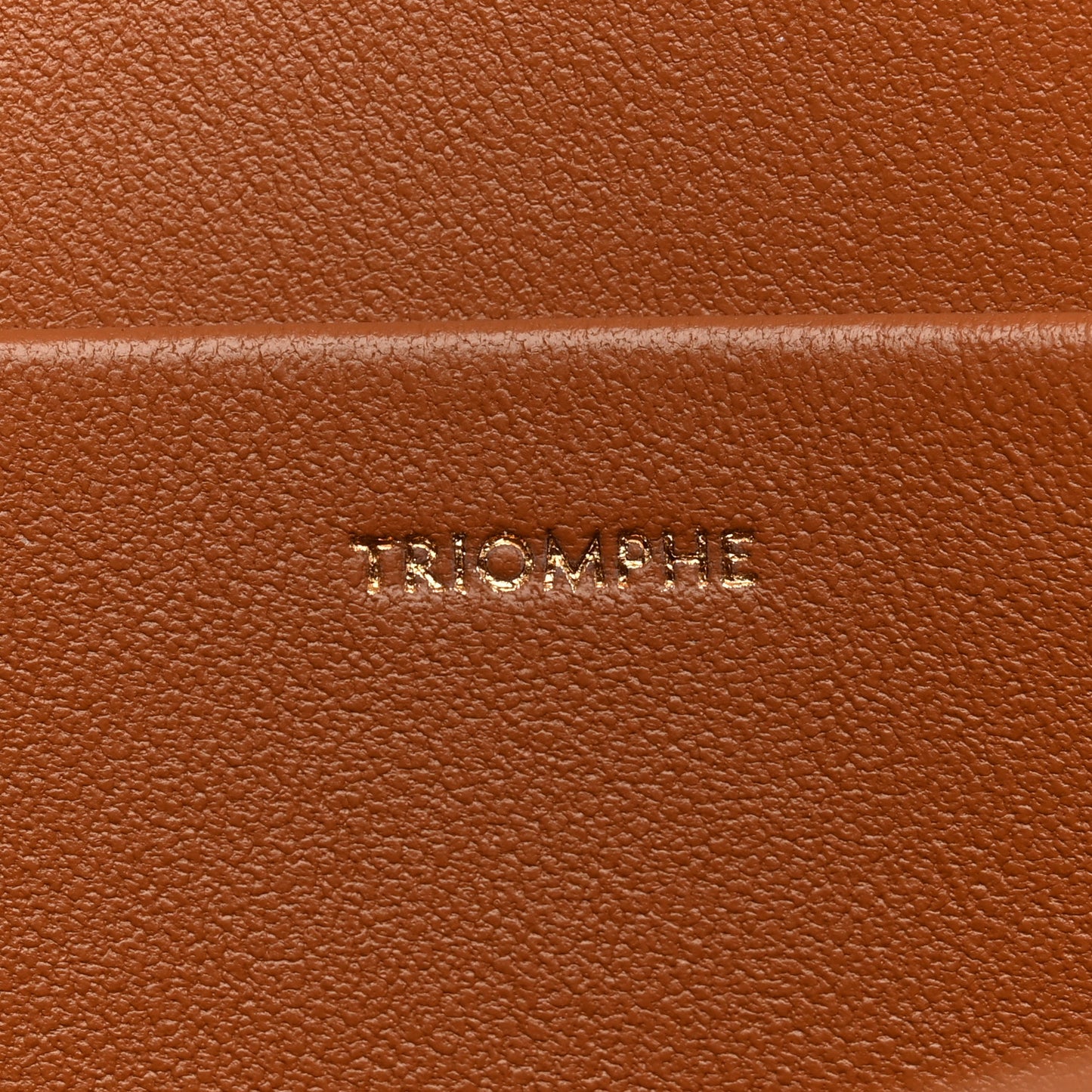 Natural Calfskin Medium Triomphe Tan