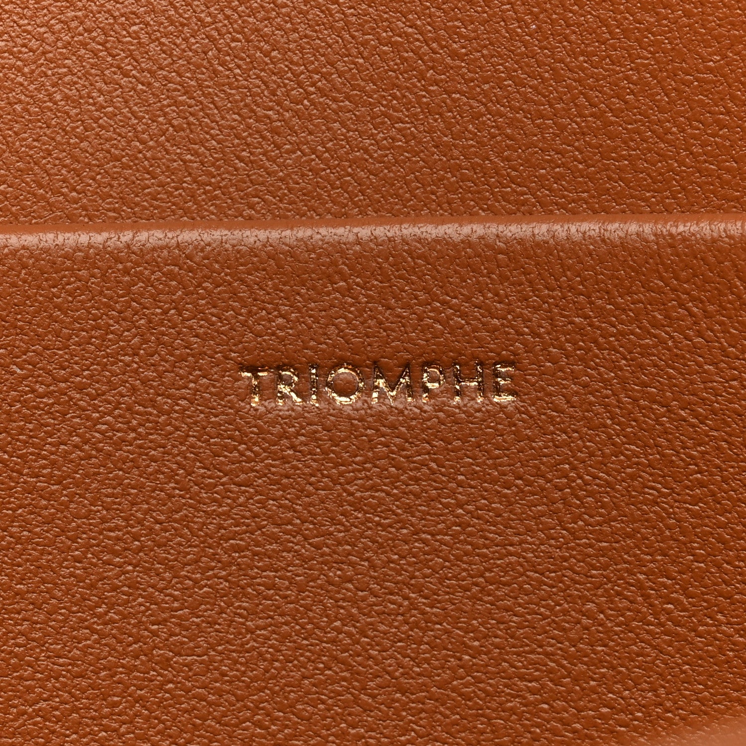 Celine Natural Calfskin Medium Triomphe Tan 8 of 15