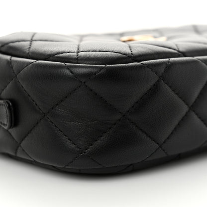 Chanel Lambskin Quilted Camera Bag Black 10 of 12