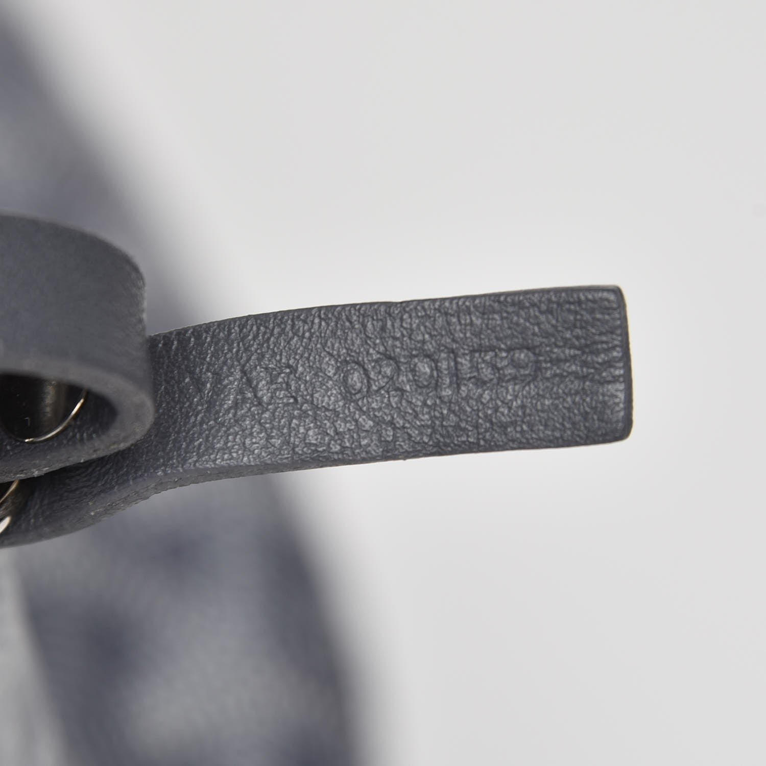 Goyard Goyardine Saint Louis PM Grey 8 of 8