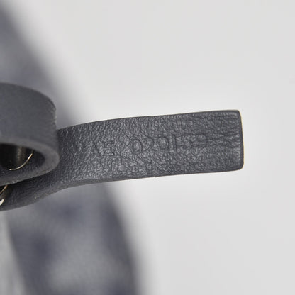 Goyard Goyardine Saint Louis PM Grey 8 of 8