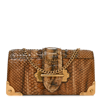 Prada Snakeskin Cahier Pochette Naturale 1 of 9