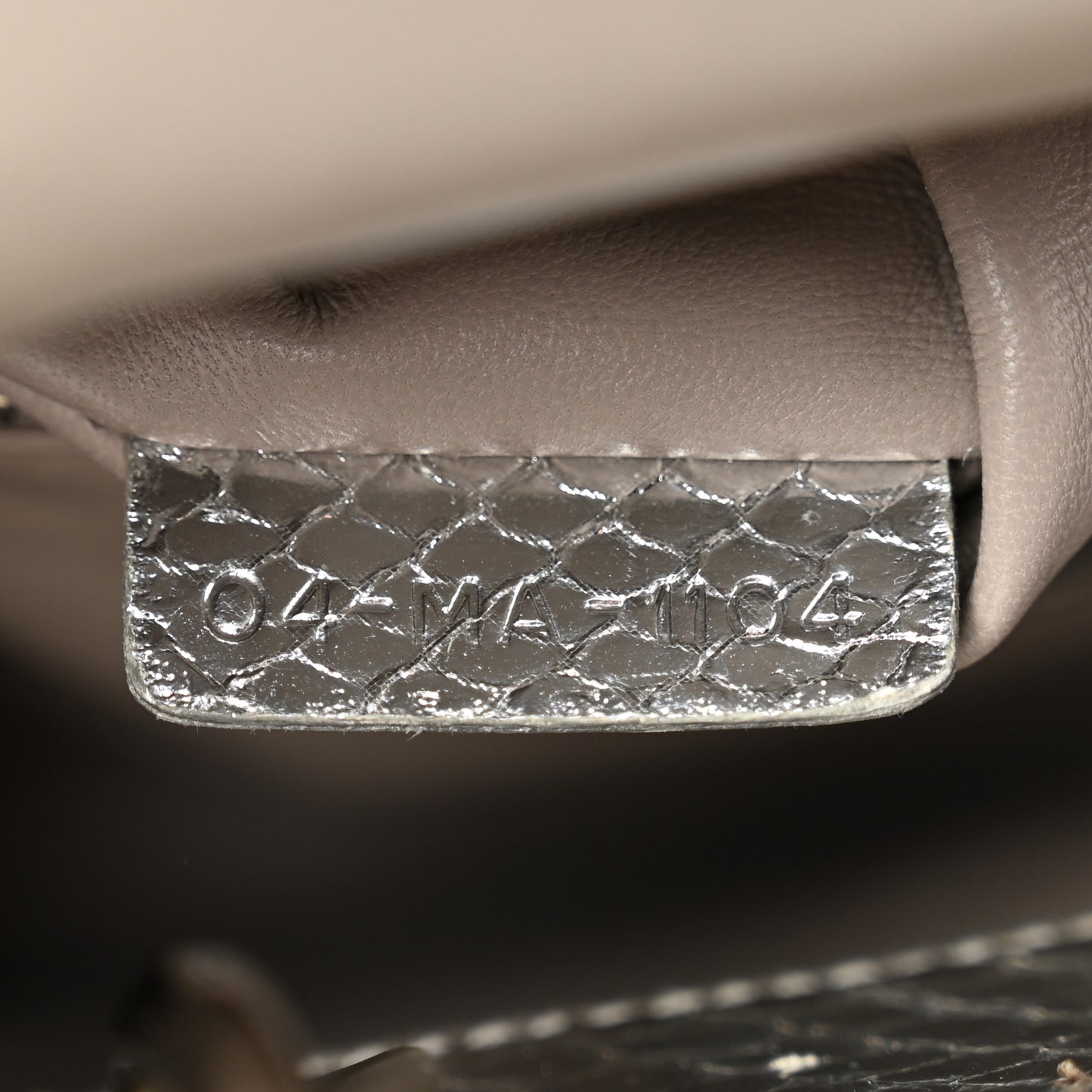 Metallic Snakeskin Mini Lady Dior Silver