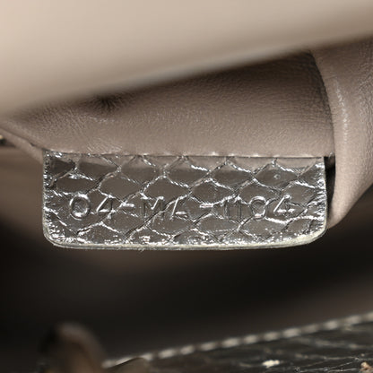 Christian Dior Metallic Snakeskin Mini Lady Dior Silver 7 of 11