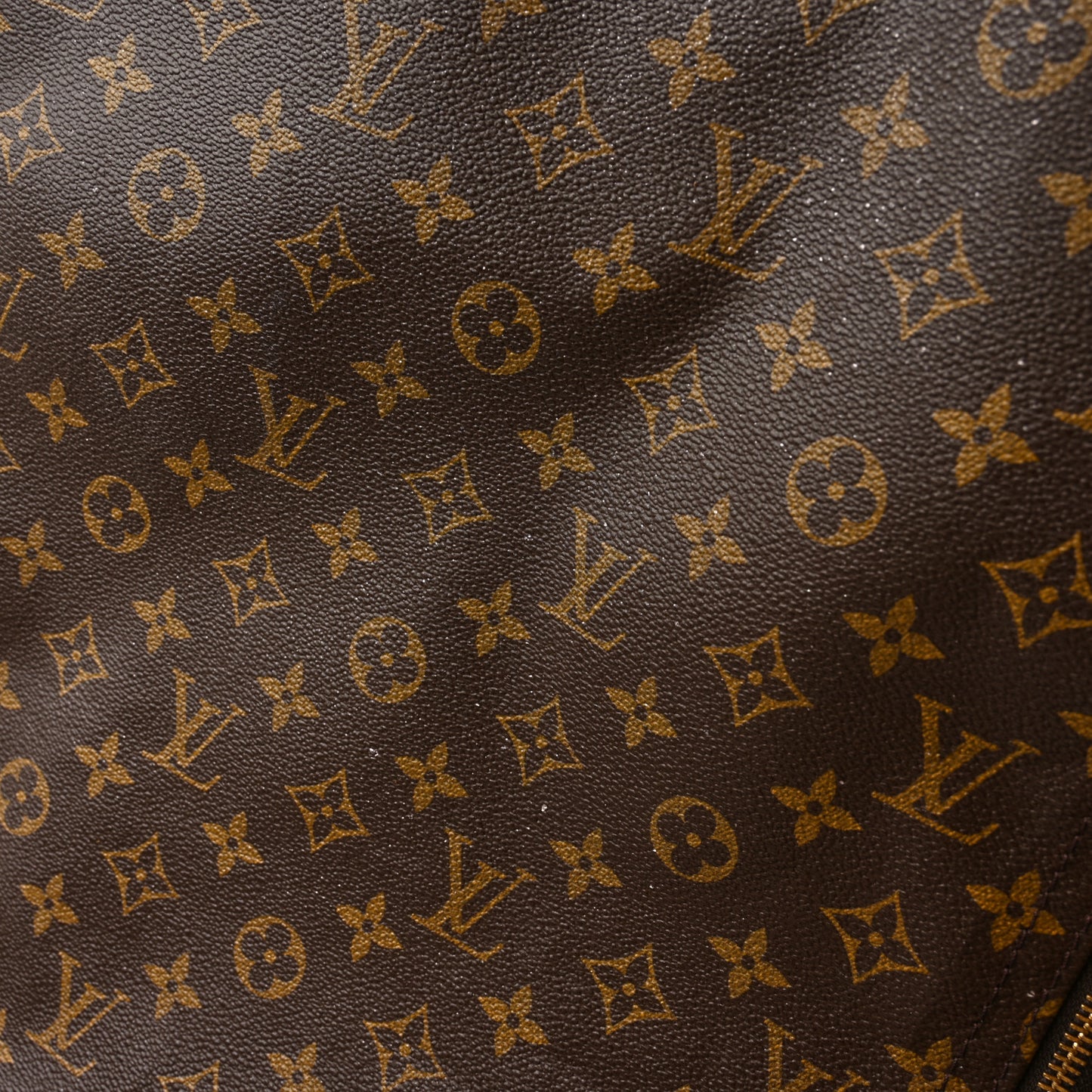 Monogram Garment Cover