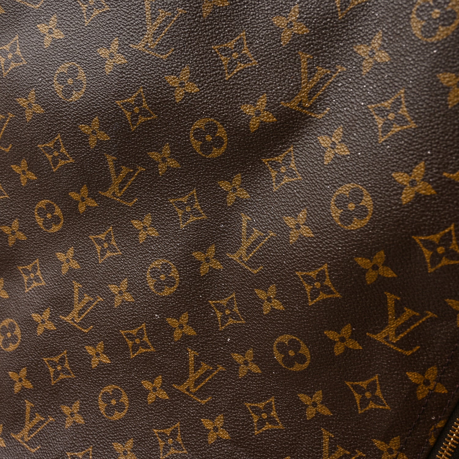 Louis Vuitton Monogram Garment Cover 8 of 13