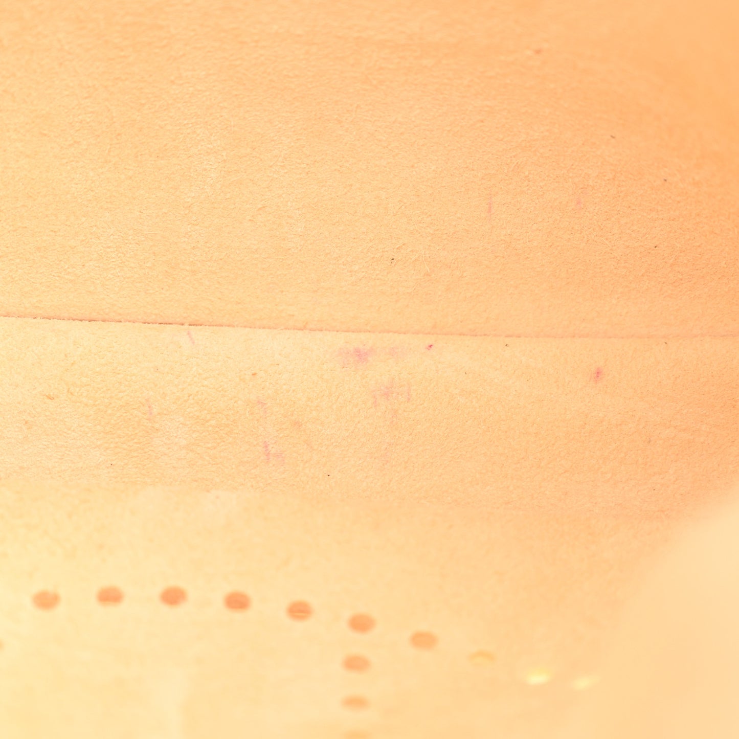 Taurillon Clemence Evelyne III PM Nata