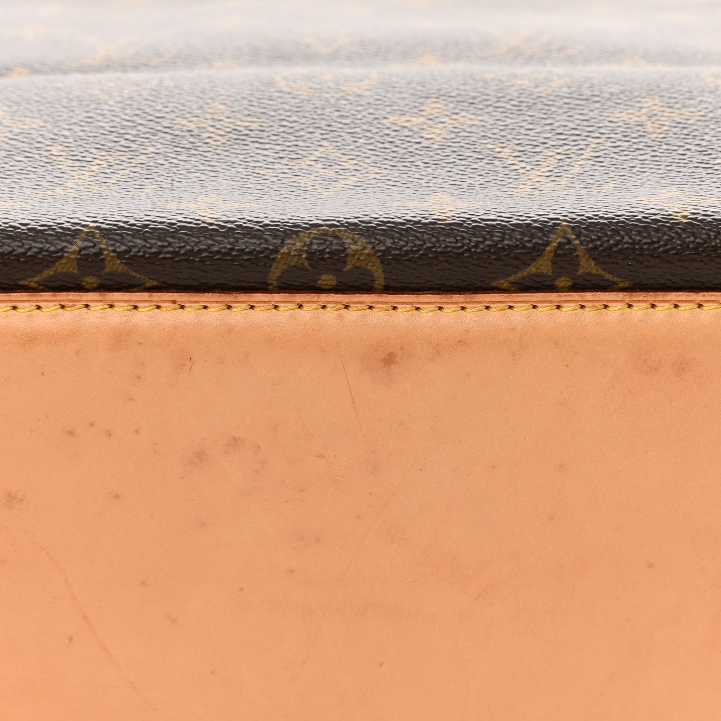 Monogram Cabas Mezzo