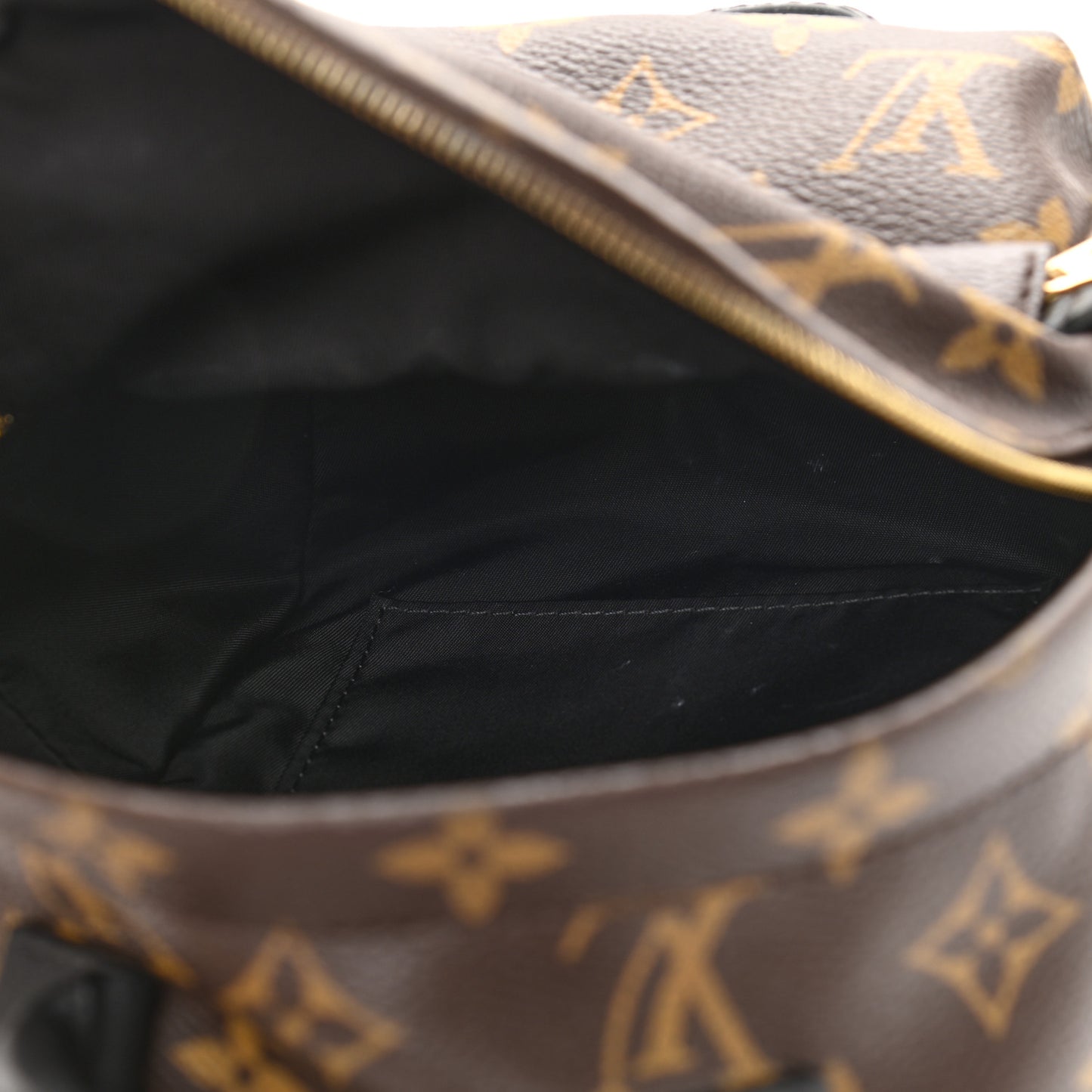 Monogram Palm Springs Backpack Mini