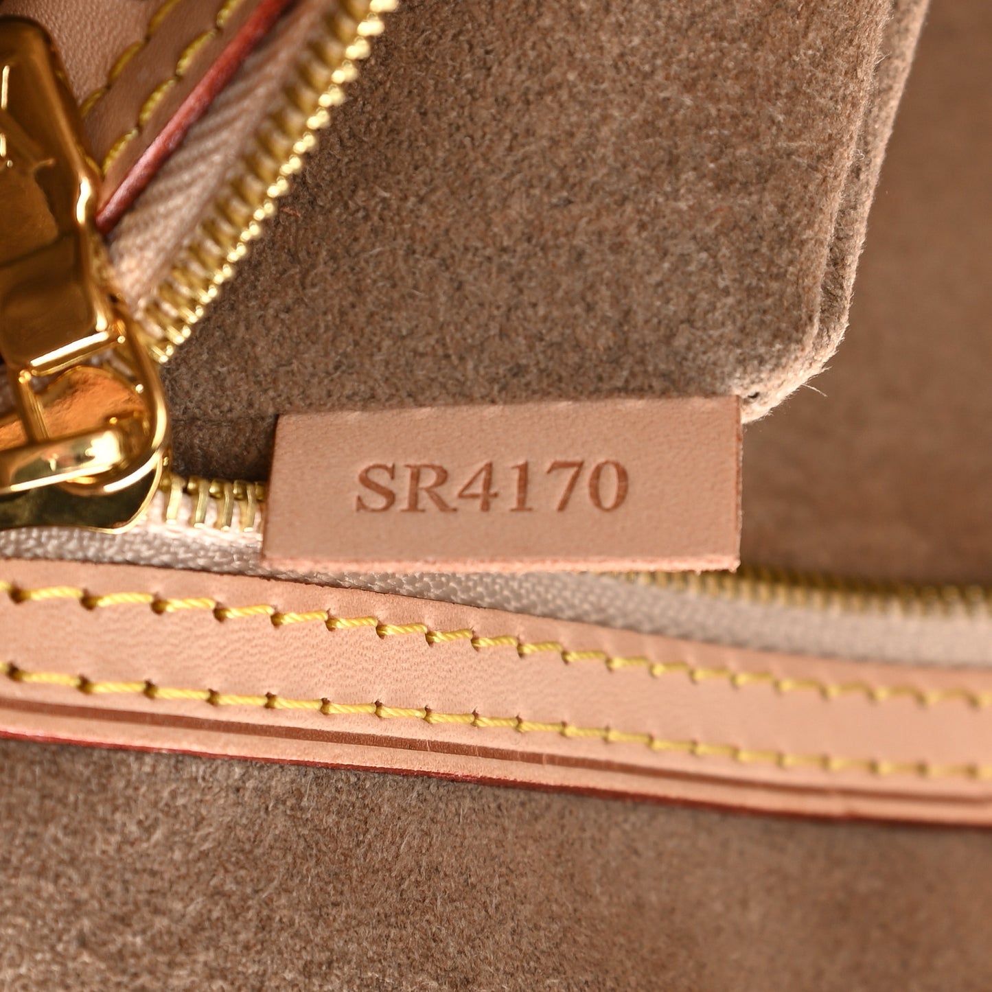 Monogram Multicolor Annie GM Black