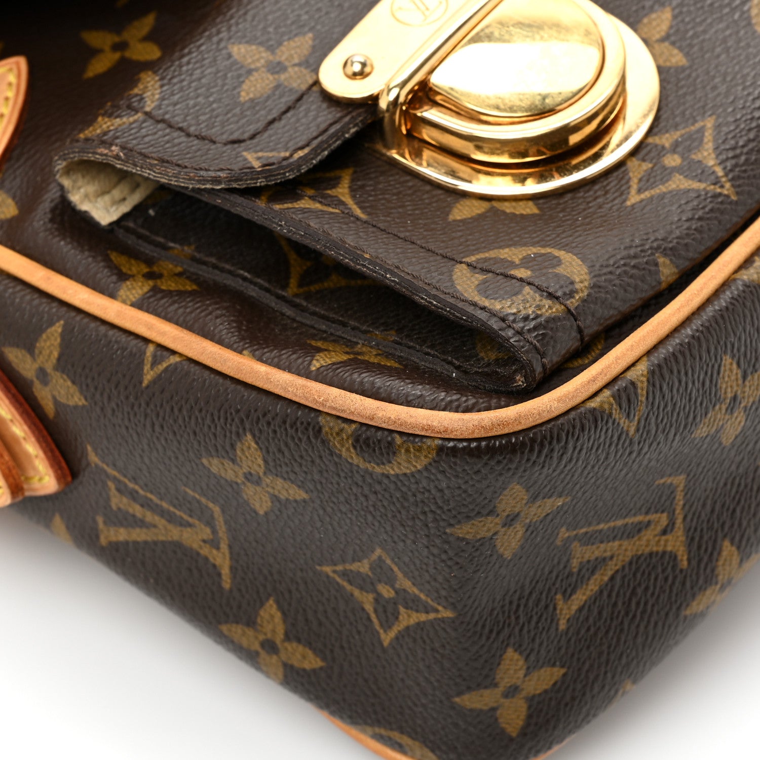 Louis Vuitton Monogram Hudson PM 9 of 18