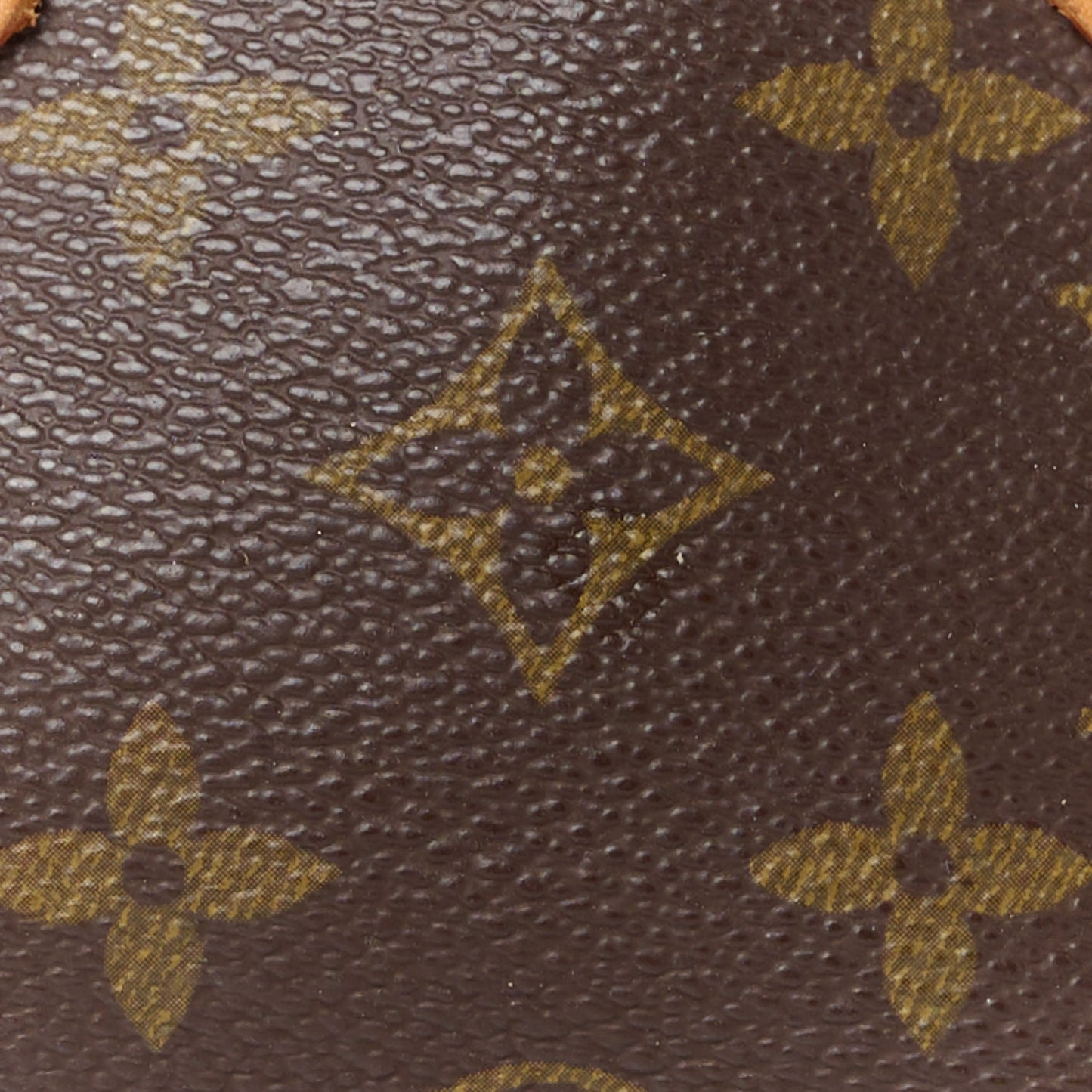 Monogram Mini Sac HL Speedy