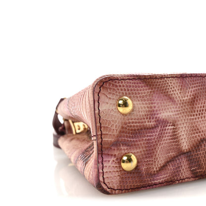 Louis Vuitton Lizard Mini Capucines Pink Multicolor 8 of 9