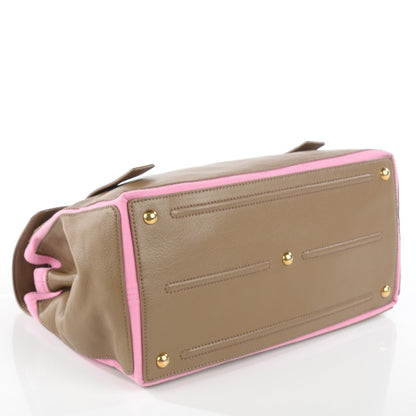 Saint Laurent Calfskin Canvas Medium Muse Two Taupe Pink 4 of 8