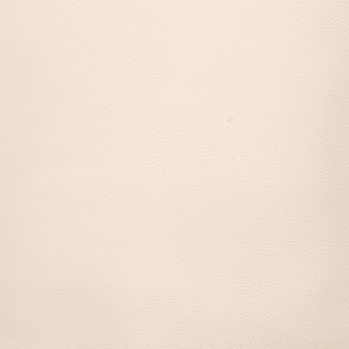 Grained Calfskin Medium N/S Park Tote Ivory