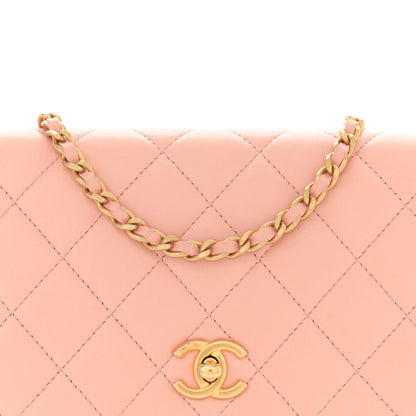 Chanel Lambskin Quilted CC Pearl Crush Wallet on Chain WOC Light Orange 10 of 12