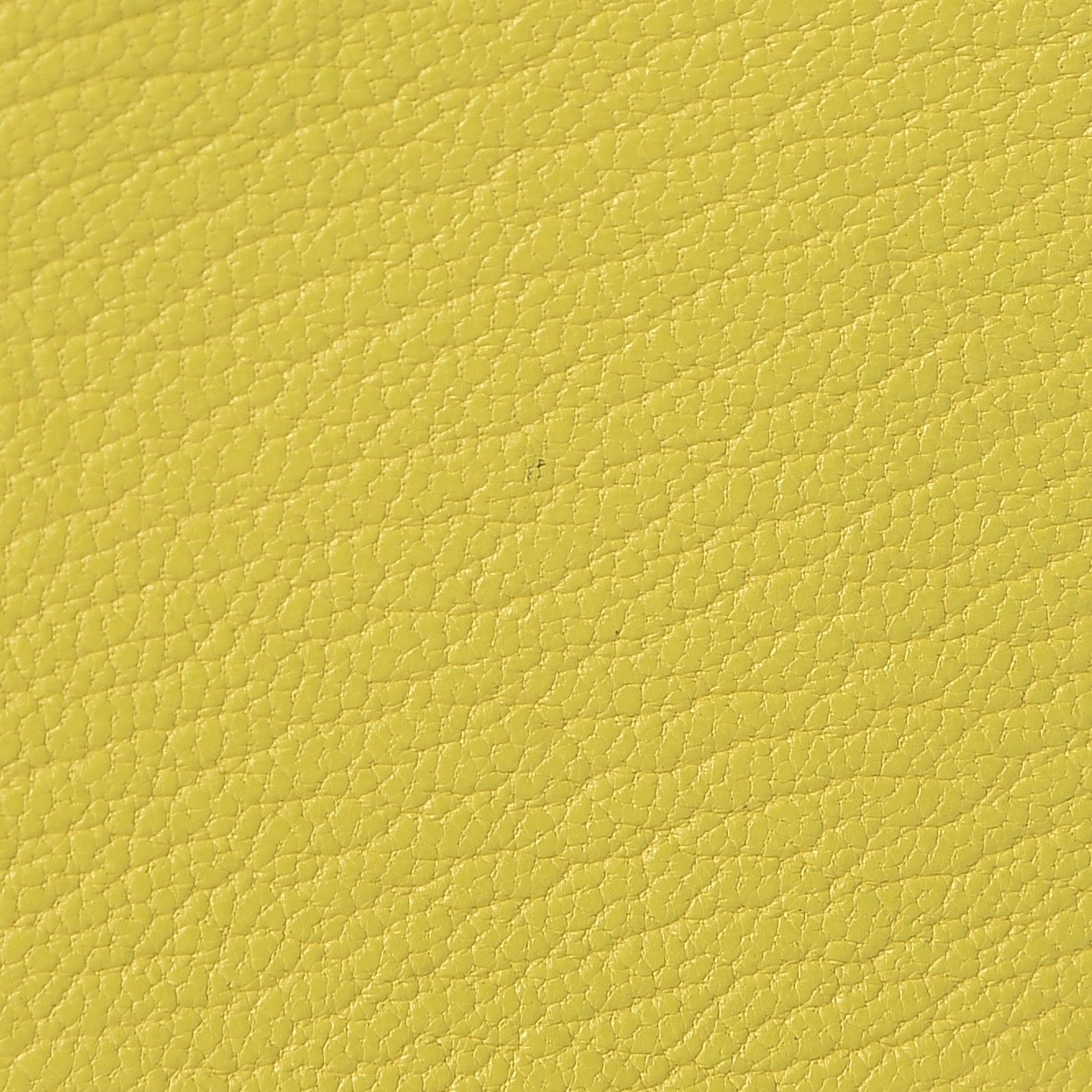 Hermes Chevre Mysore Tutti Frutti Citron Coin Purse Charm Lime 4 of 9