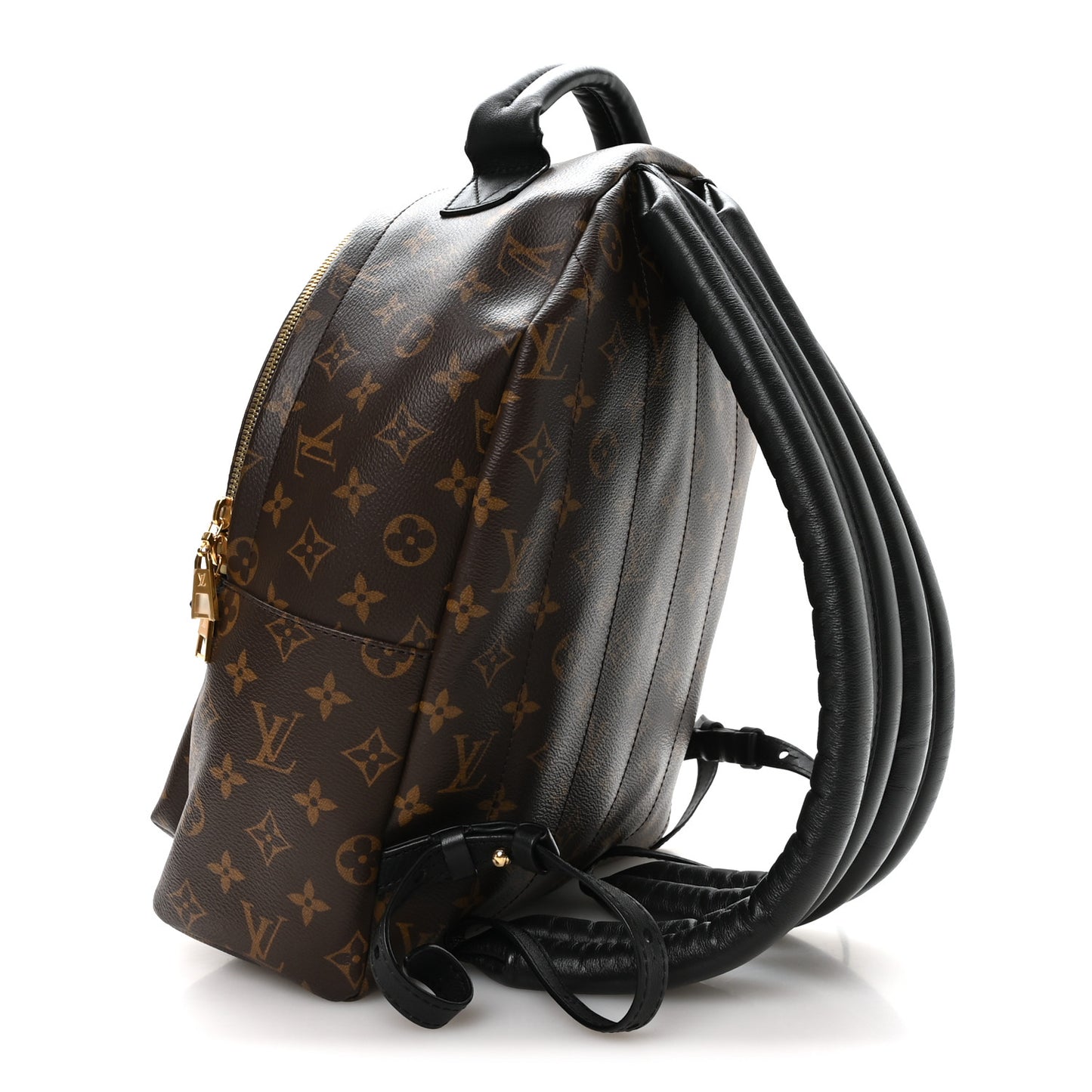 Monogram Palm Springs Backpack MM