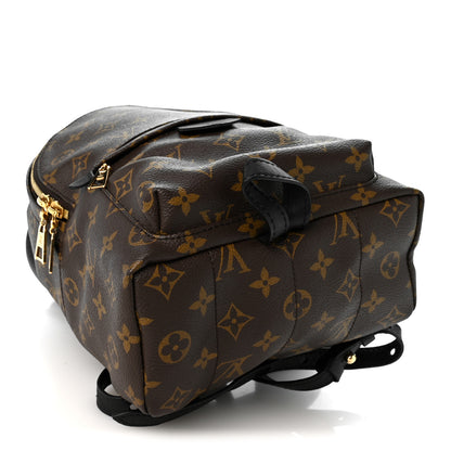 Louis Vuitton Monogram Palm Springs Backpack PM 3 of 8