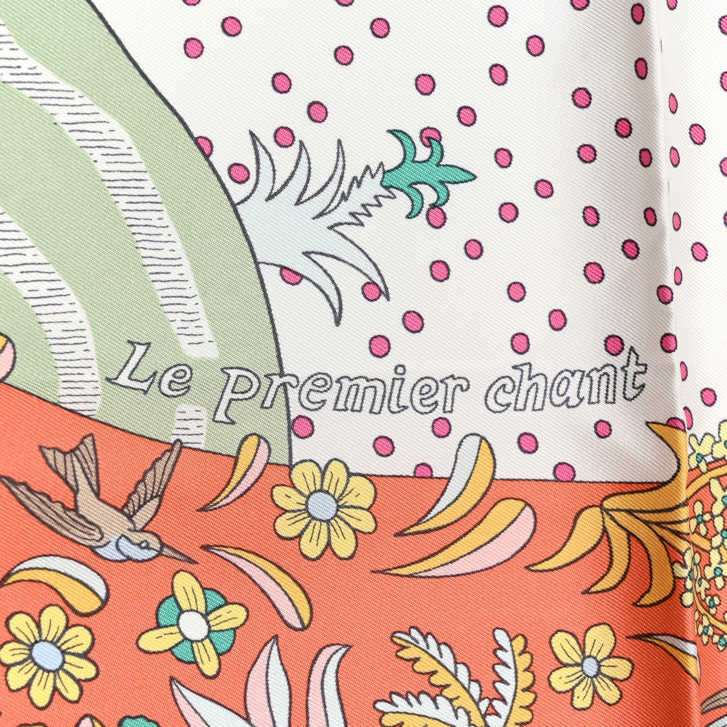Silk Le Premier Chant Scarf 90 Abricot Ciel Vert