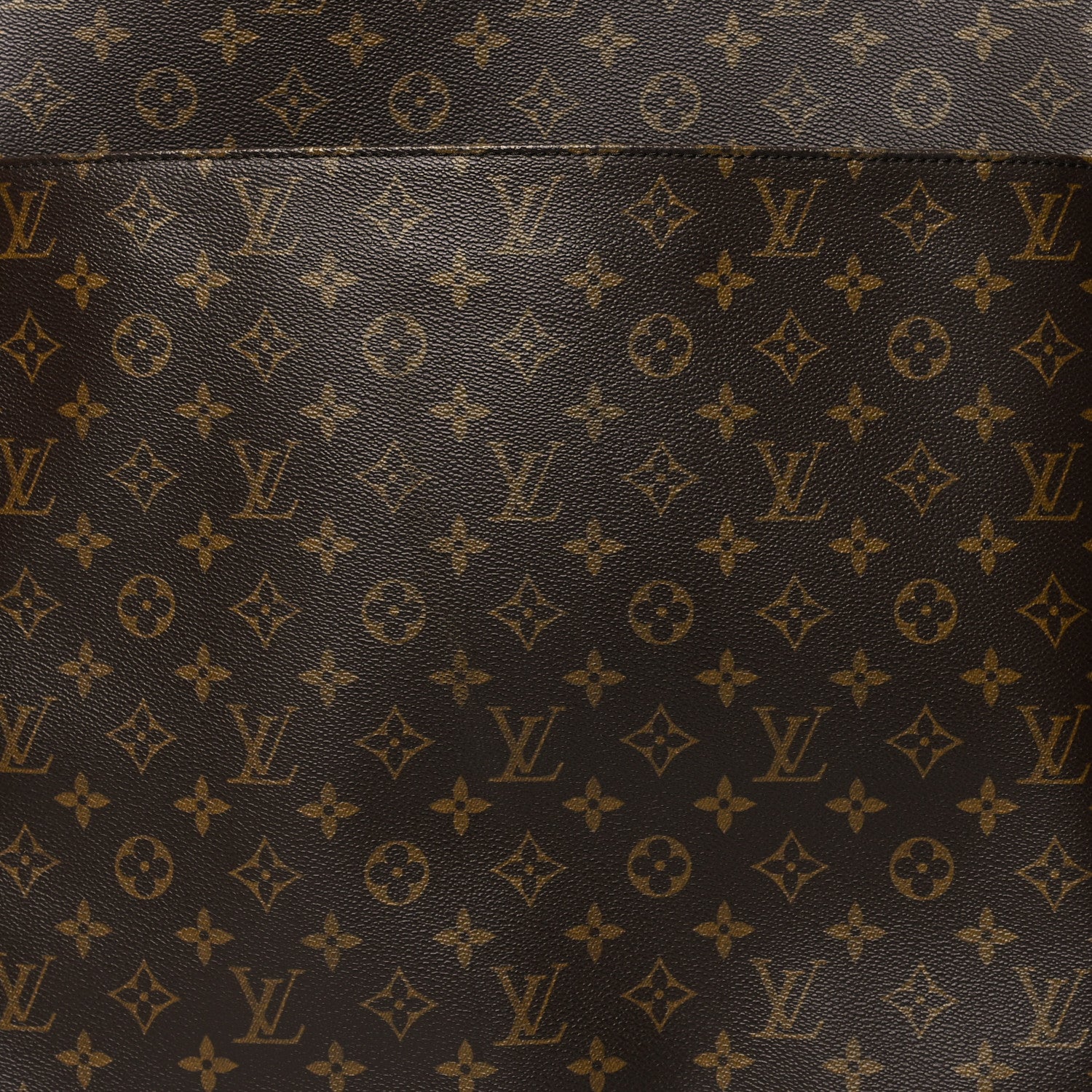 Louis Vuitton Monogram Pegase 60 8 of 14