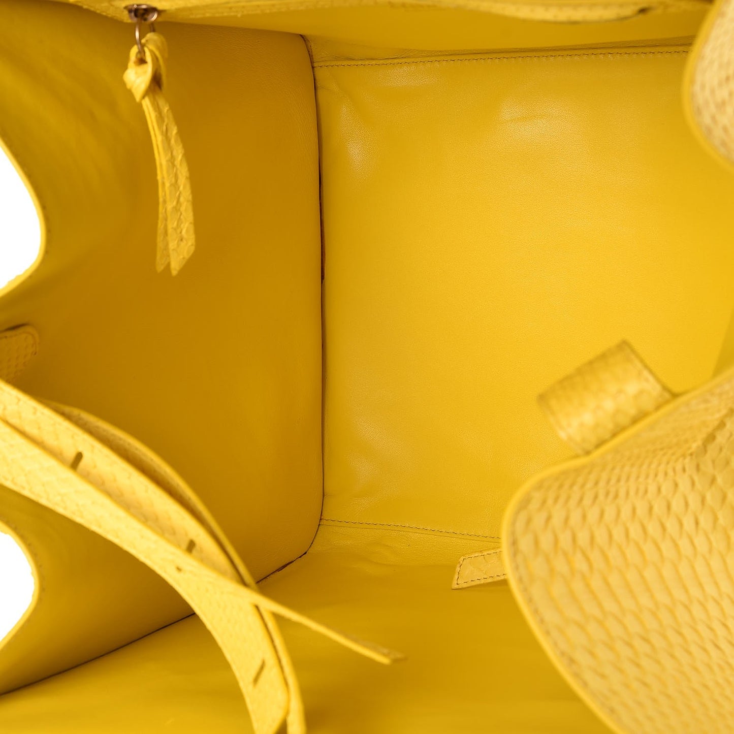 Python Medium Phantom Luggage Yellow