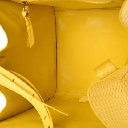 Celine Python Medium Phantom Luggage Yellow 5 of 7