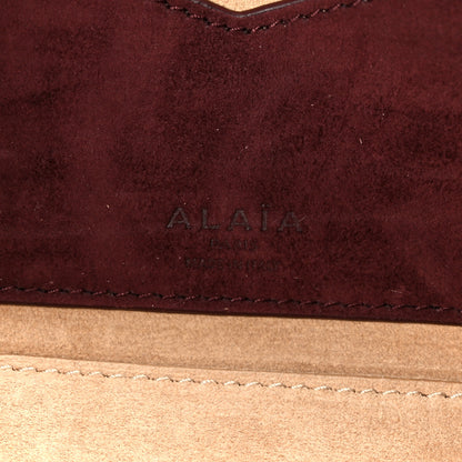 Alaia Suede Goatskin Le Teckel Clutch Rouge Grenat 7 of 11