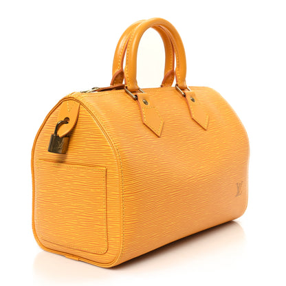 Louis Vuitton Epi Speedy 25 Tassil 3 of 11