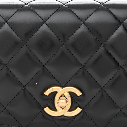 Chanel Shiny Calfskin Quilted Suede Goatskin Belt Bag Black 8 of 12