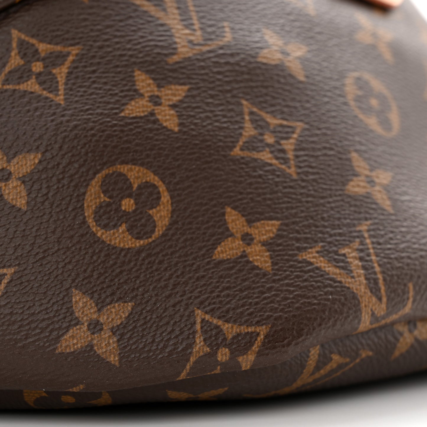 Monogram Bumbag