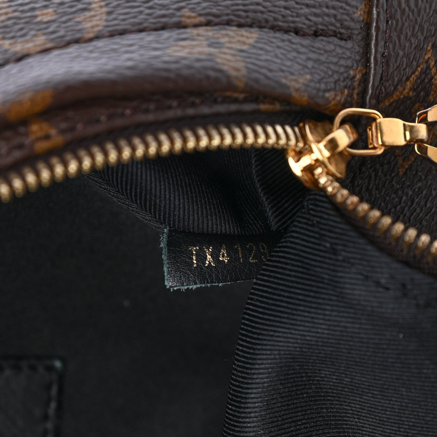 Monogram Palm Springs Backpack PM