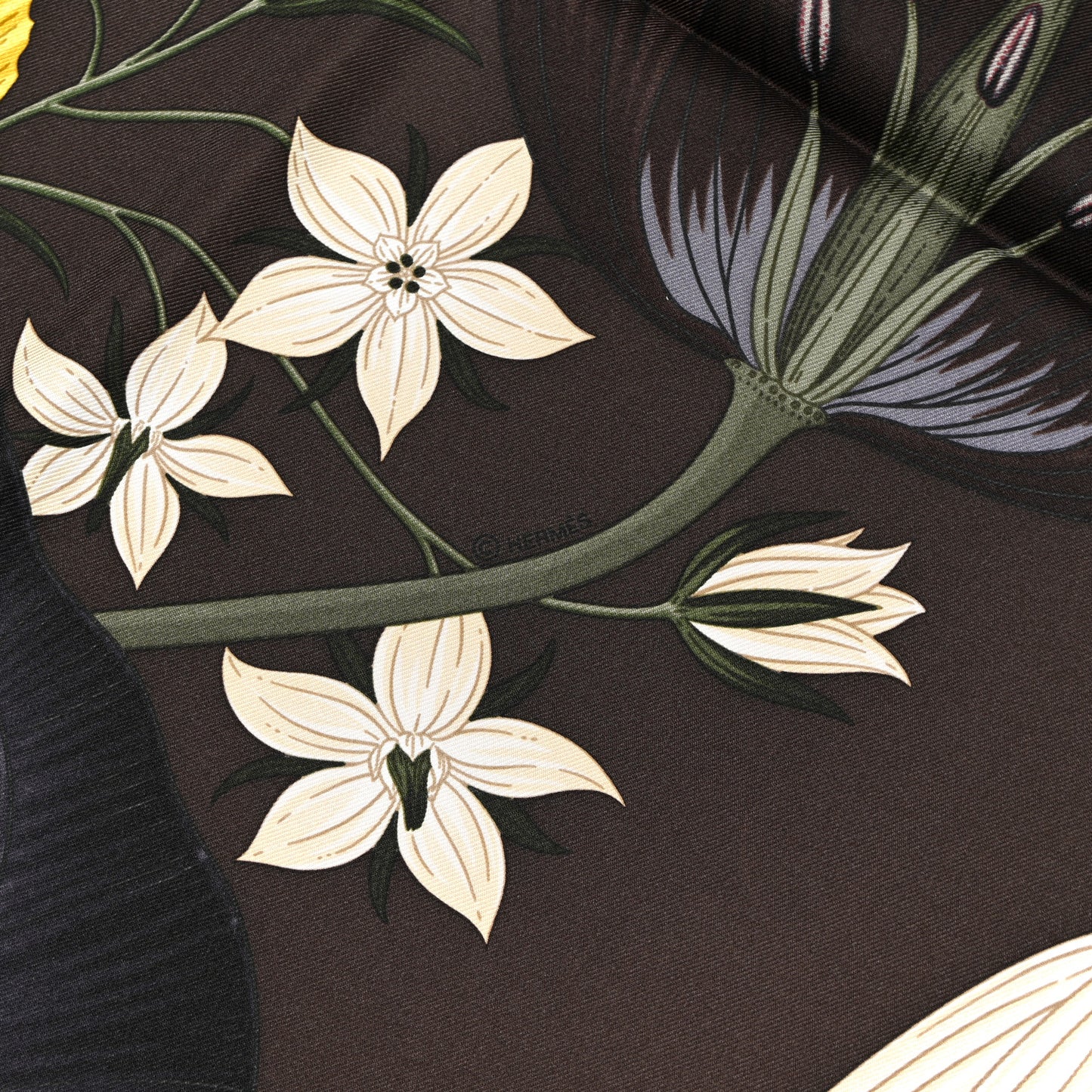 Silk Bouquet Final Scarf 90 Ebene Sable Vert
